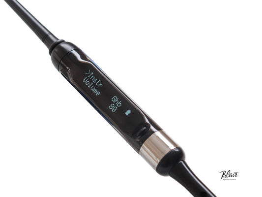 Blair Digital Chanter