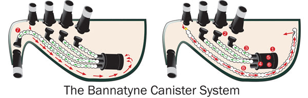 The Bannatyne Canister System
